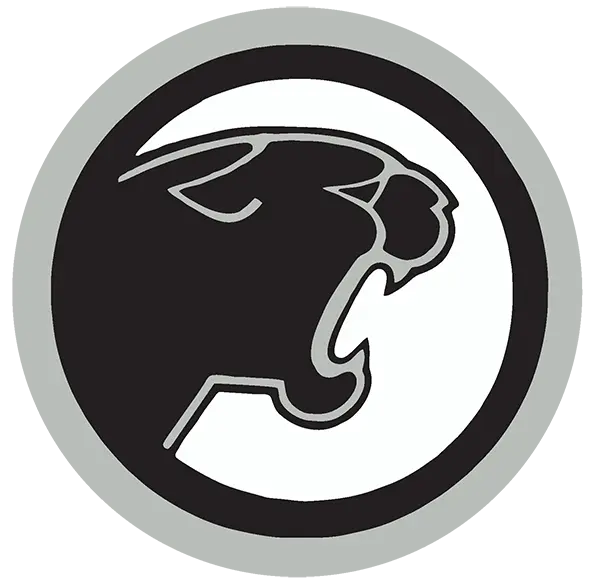 Strath Haven Panthers Football